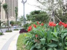 恒达海鑫花园 采光无遮挡 海景房 好楼层 任意装修