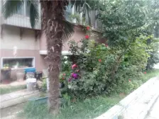 【黄河路照相机厂家属院】| 河南省郑州市金水区黄河路71号院22号楼3单元5层33号