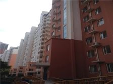 城区 诚心卖 刚需之选 采光好 电梯房 楼龄新