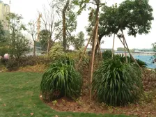 业主诚意出售 看房方便 交通便利