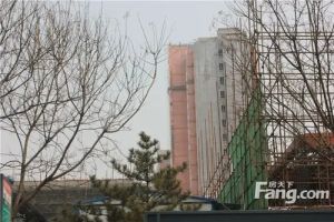 中红一品北区3室1厅南北