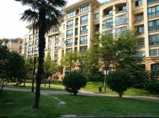 急卖!中茵名都南区,精装2室 结婚的婚房,青年公园旁