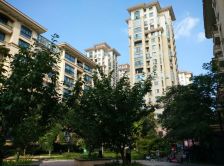 中茵名都南区3-2-1-1 103.00m2