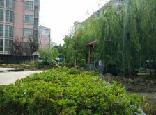 精装修拎包即住 三室朝阳 有阳光房