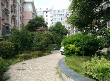 日月花园 2室2厅 南