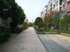 急卖!兴业金色家园!70年产权,苍梧小区,苍梧绿园旁