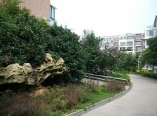 兴业金色家园 1室1厅 北