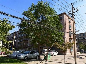 龙华里 两室阳面 中间层 老本 价格可以商量