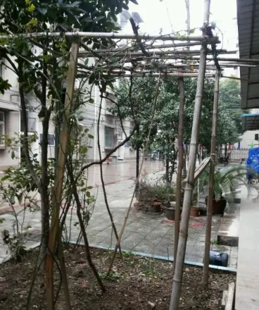 空军家园小区