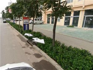 颐和家园 地理位置优越,出行娱乐购物方便。