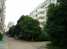 双盛花园 1室1厅 南 北