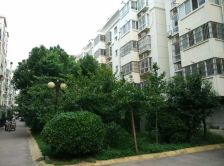 巨龙路南路双盛花园70年公寓式住宅一室一厅一厨一卫