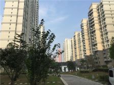 京南一品精装三居 南向户型 视野佳 满二省税费 户型好
