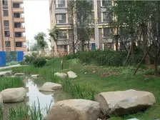 次新双气 一楼带院 全明户型 采光充足