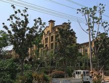 高档独栋别墅 毛坯 位置好 户型方正 物业负责