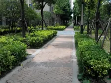 南北通两房满五仅需契税 采光无遮挡 随时看房二手买进诚心出售