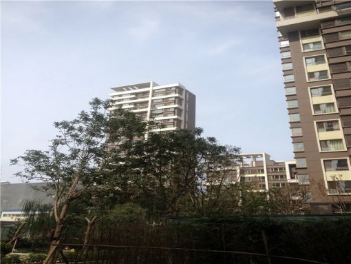 Õû×⡤¾ÅºÅ¹«Ô¢ 1ÊÒ1Ìü ±±