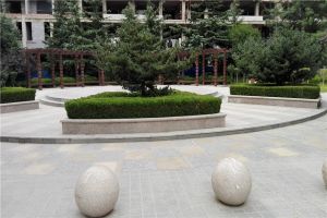 名门新筑2室2厅南北