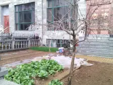 海情花园独栋别墅 西北乾位 实用面积多 带100-200平院