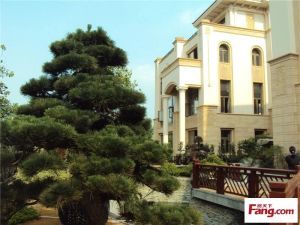 锦绣山河晓月湖160平4房,朝南拎包入住