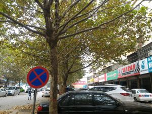 洛阳市涧西区河洛路大三室电梯房出售