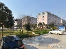 海洪新村 简单装修 看房方便 采光充足 交通便利