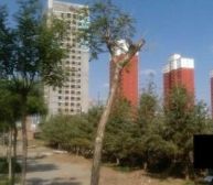 呼市工商系统住宅小区4室1厅南北