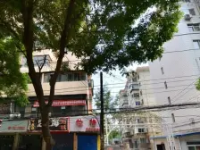 热电一区 化四/化三 复式楼 电梯房 精美装修 南北通透