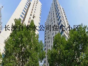 自来水公司宿舍2室2厅南
