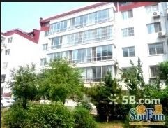 县府街校区 乌兰夫公园 中间楼层 南北通风