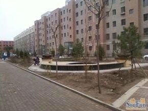 旺第嘉华1室1厅1卫南北朝向3168.00元/月出租
