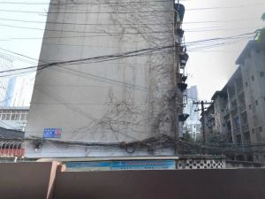 拱背桥街25号2室1厅南