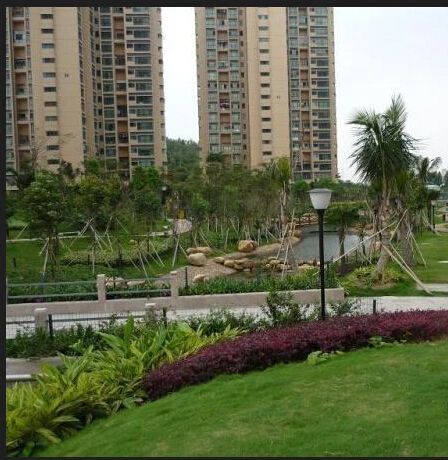 御景101公馆1室1厅1卫南朝向1800.00元/月出租