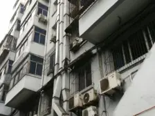 捡趴活!石桥铺大三房 56 颗