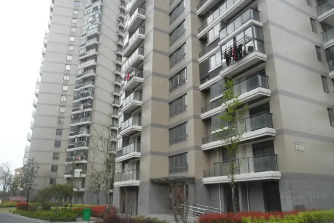 星洲国际