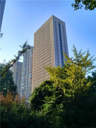 星洲国际