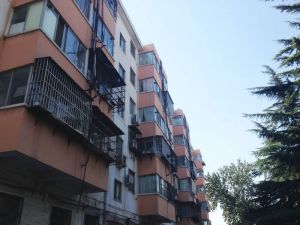 面粉厂家属院(瀍河区)2室1厅南