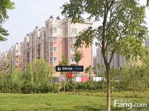 这个是步梯房,精装修好的,带地面北车库8平米左右