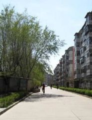 附院附1近中间楼层小两居过渡房无大税