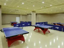 人和 重庆棕榈泉四房