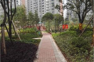 丰源国际3室2厅南