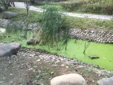 江南御花园 5室2厅 南