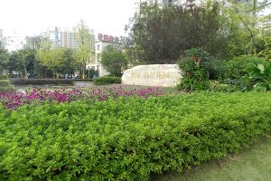 房子满五唯一近地铁近购物清水毛坯,南北通透