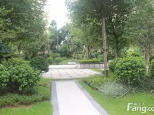 碧琴湾花园地铁口旁边中高楼层视野采光好