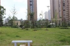 吴都阳光精装二房电梯好楼层全天太阳停车方便