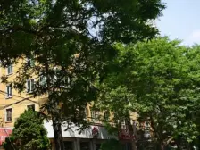 东方红广场 平凉路 榆中街 十一 仲 院内可停车