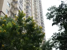 环东单身公寓,交通便利进岛快,低总价适合刚需