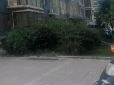 海豫花园朝东大标间精装修价格低诚心出售楼层好采光好