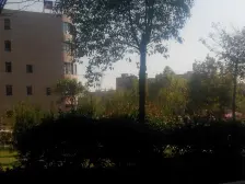 长江路京广路,交通方便,双气社区