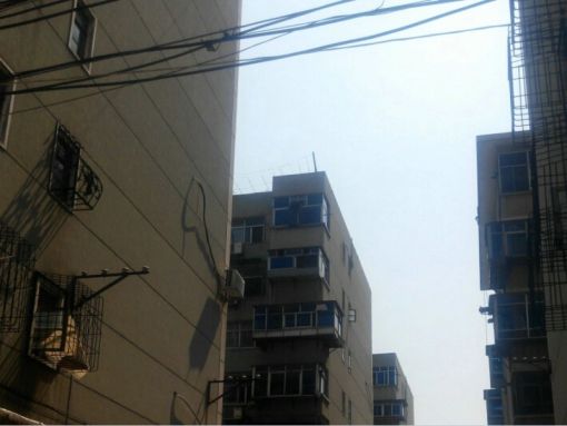 ÐÂÖ£Â·Ð¡Çø2ÊÒ1Ìü1ÎÀÄϱ±³¯Ïò1100.00Ôª/Ô³ö×â